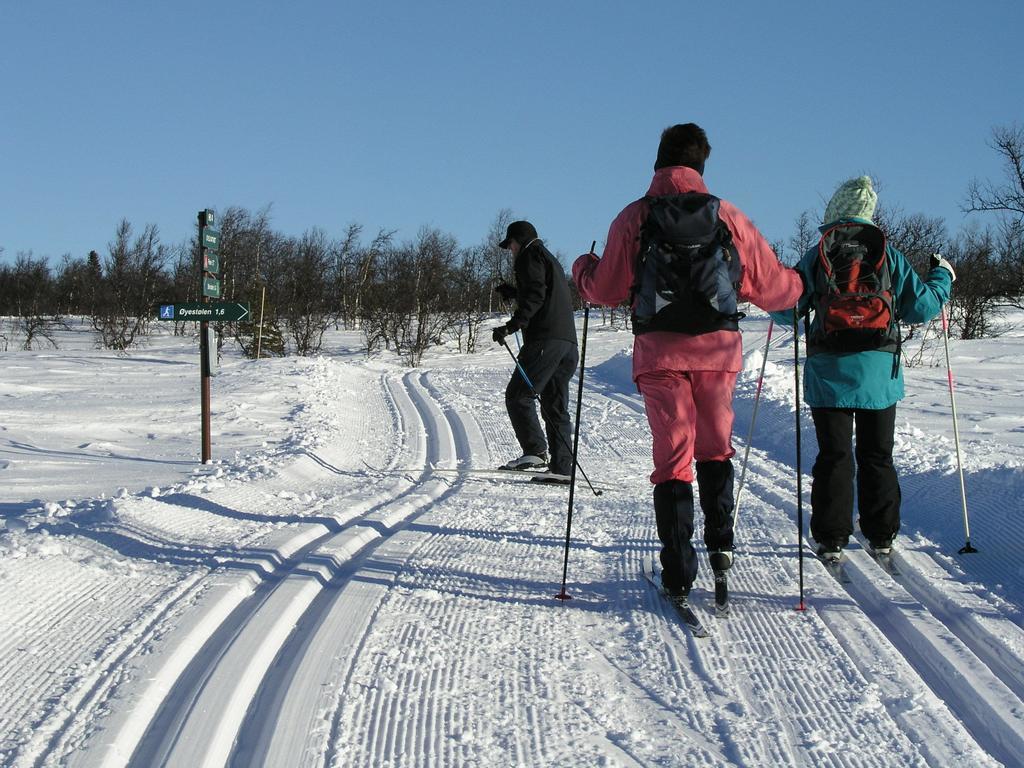 Birkelund Camping Geilo Extérieur photo