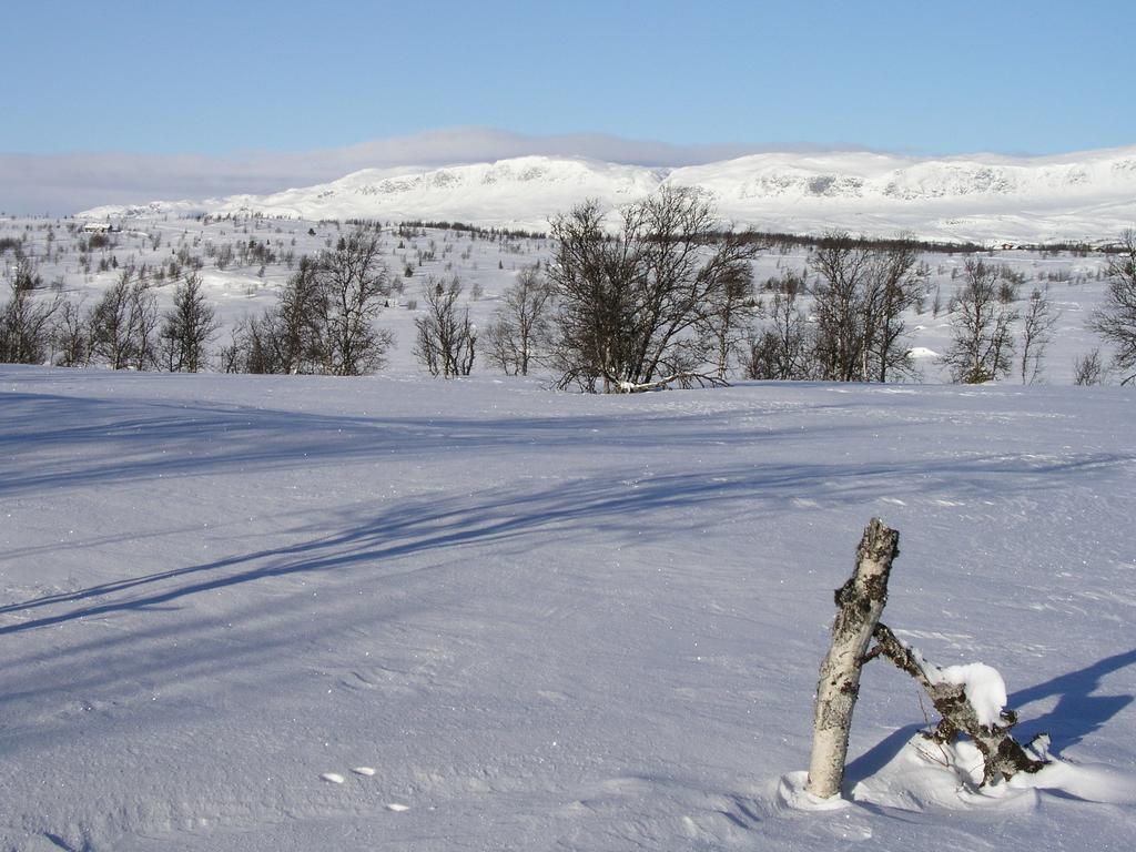Birkelund Camping Geilo Extérieur photo