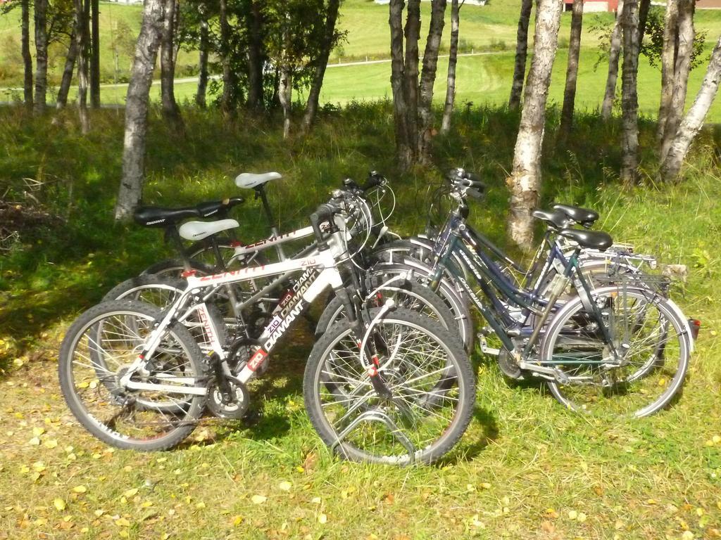 Birkelund Camping Geilo Extérieur photo